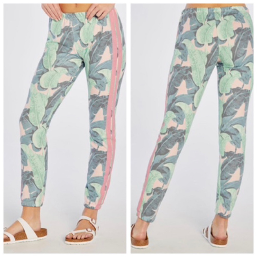 NWT!! Bundle of 3 Wildfox Martinique Knox joggers in XS